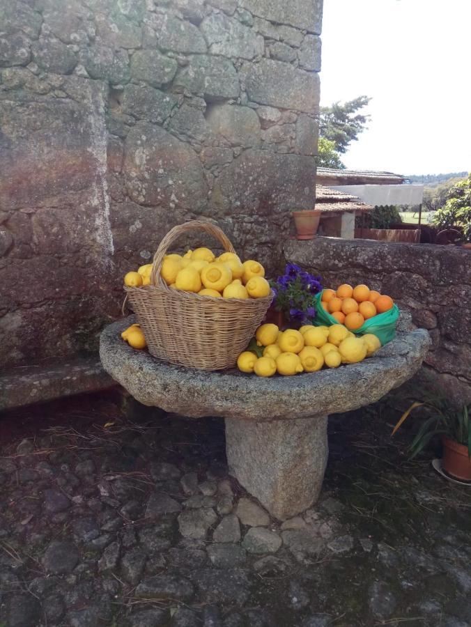 Alcains Casa Do Balcao 게스트하우스 외부 사진